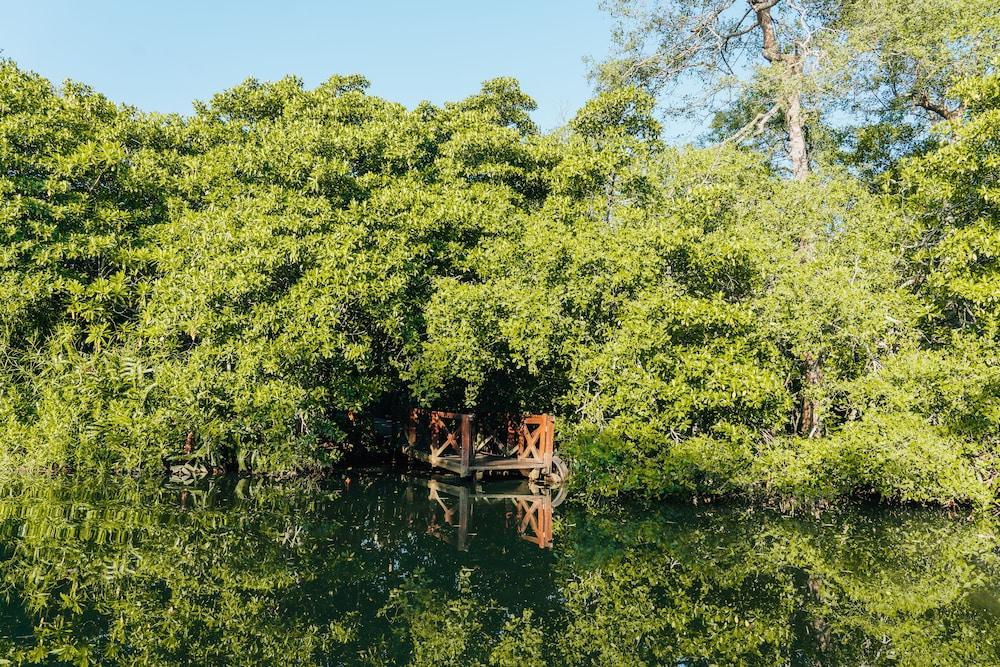 Jetwing Kurulubedda Villa Galle Dış mekan fotoğraf